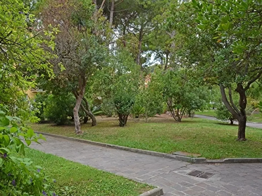 Immagine 14 di Trilocale in affitto  in Viale Europa 5 a San Bartolomeo Al Mare