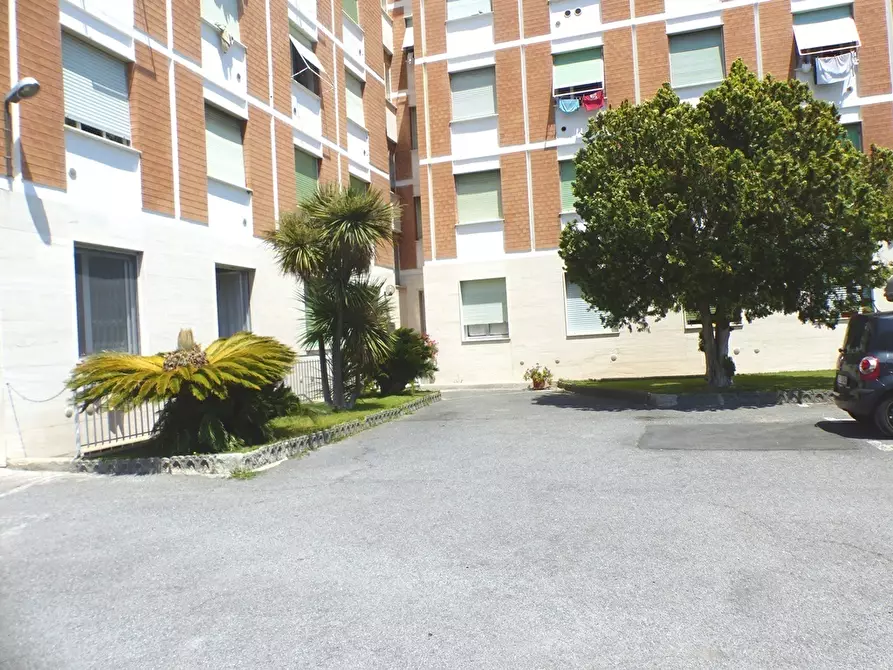 Immagine 35 di Bilocale in vendita  in Via Aurelia 82 a San Bartolomeo Al Mare