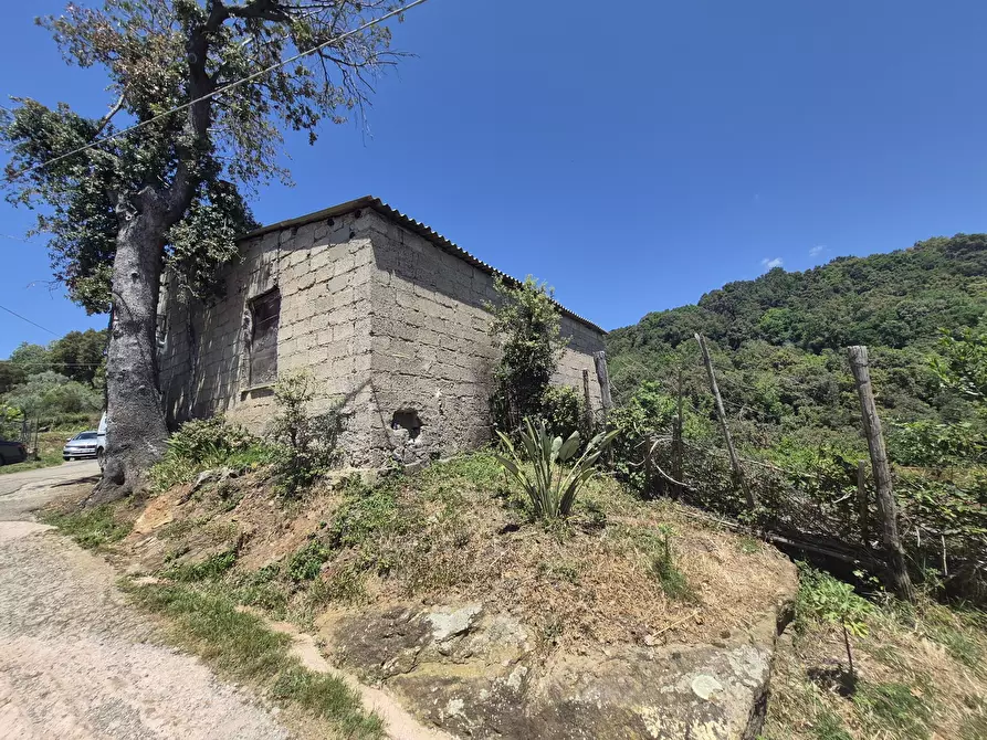 Immagine 18 di Casa indipendente in vendita  in Contrada San Filippo 7 a Pianopoli