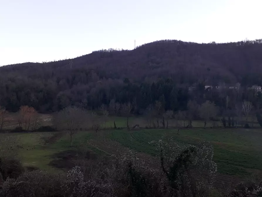 Immagine 8 di Terratetto in vendita  in Via Roma 79 a Decollatura