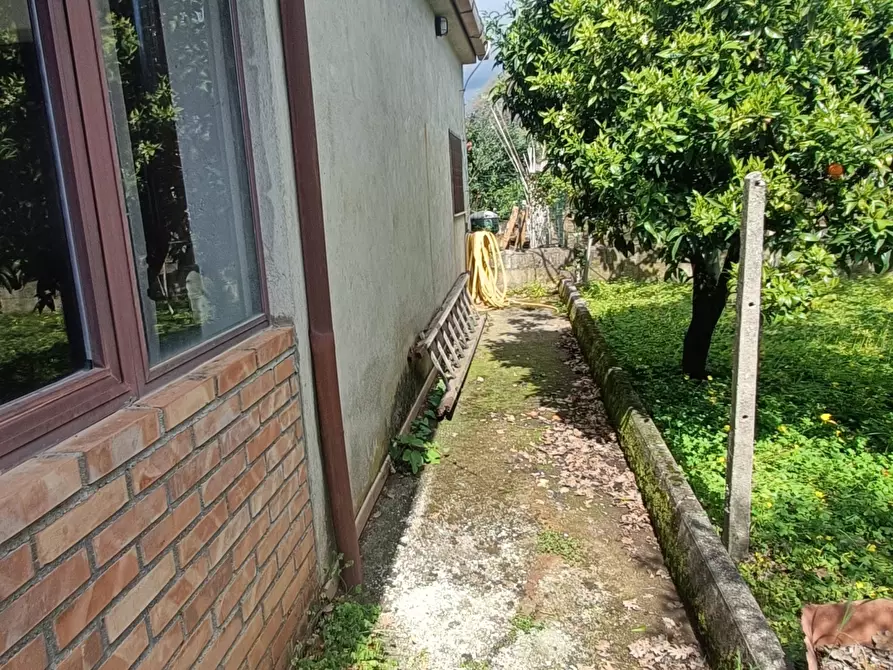 Immagine 12 di Casa indipendente in vendita  in strada provinciale a Pianopoli