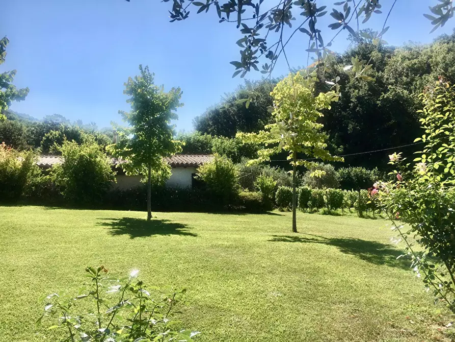Immagine 12 di Agriturismo in vendita  a Castelnuovo Magra