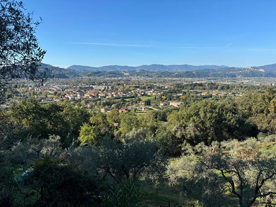 Immagine 7 di Villa in vendita  a Sarzana