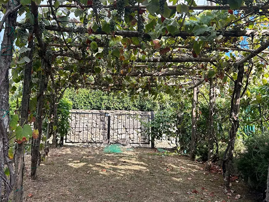 Immagine 20 di Rustico / casale in vendita  a Ameglia