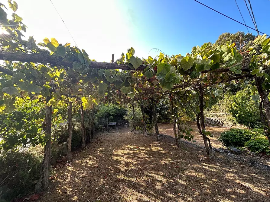 Immagine 19 di Rustico / casale in vendita  a Ameglia