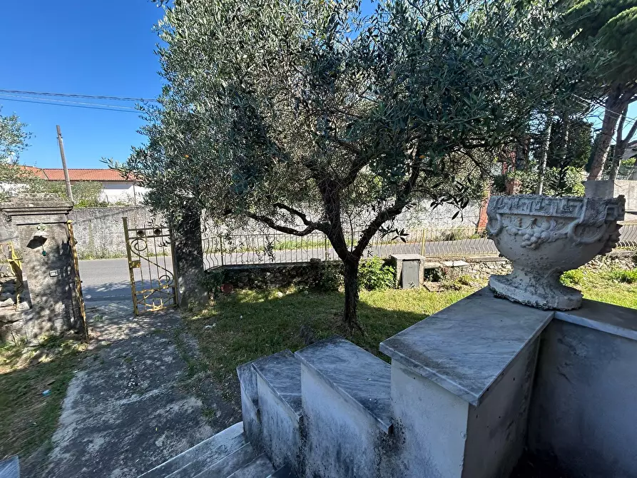 Immagine 11 di Casa indipendente in vendita  a Sarzana