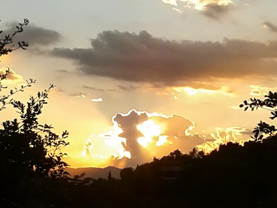 Immagine 65 di Terratetto in vendita  in Località Luscignano 18 a Casola In Lunigiana