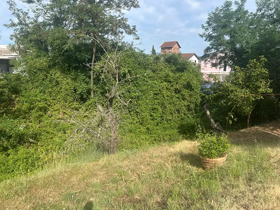 Immagine 23 di Casa bifamiliare in vendita  a Sarzana