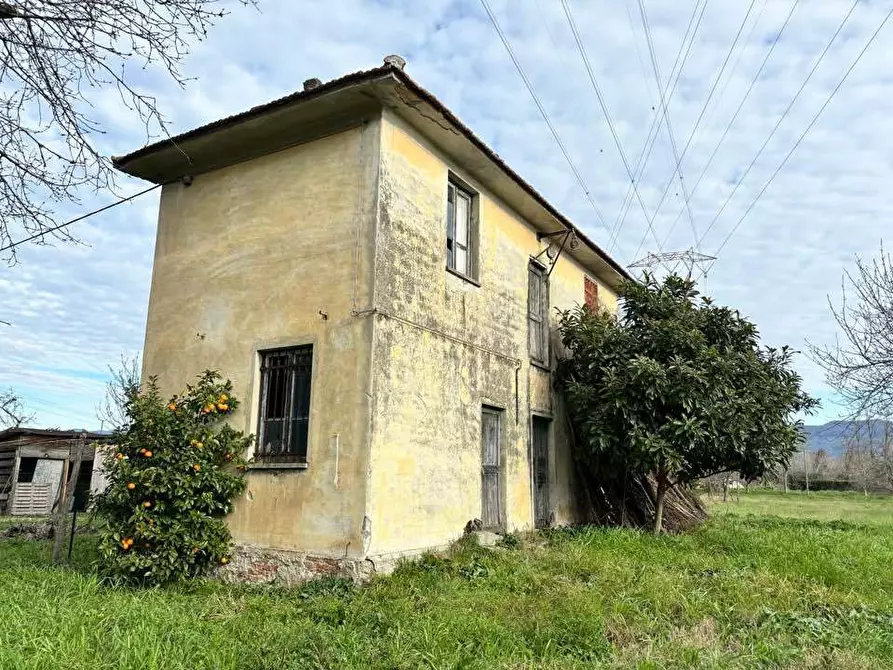 Immagine 1 di Terreno agricolo in vendita  a Arcola