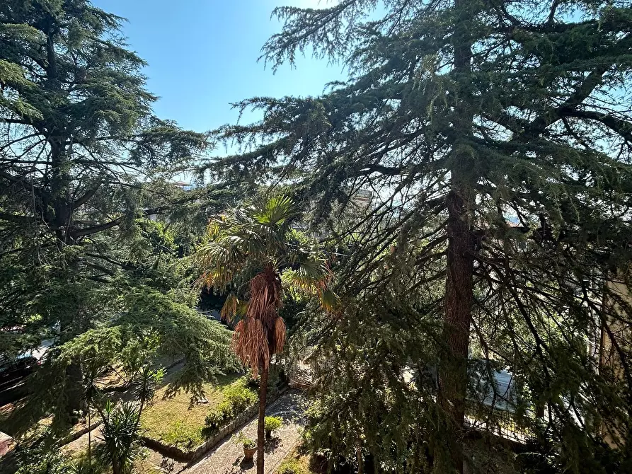 Immagine 8 di Pentalocale in vendita  a Sarzana