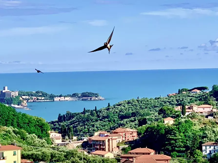 Immagine 29 di Terratetto in vendita  a Arcola