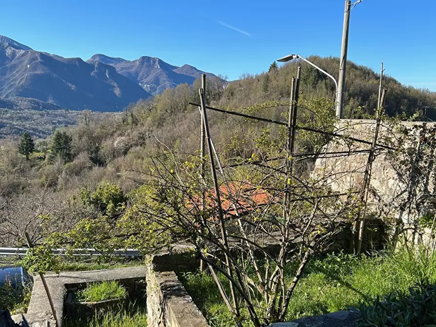 Immagine 24 di Casa indipendente in vendita  in Località Luscignano 18 a Casola In Lunigiana