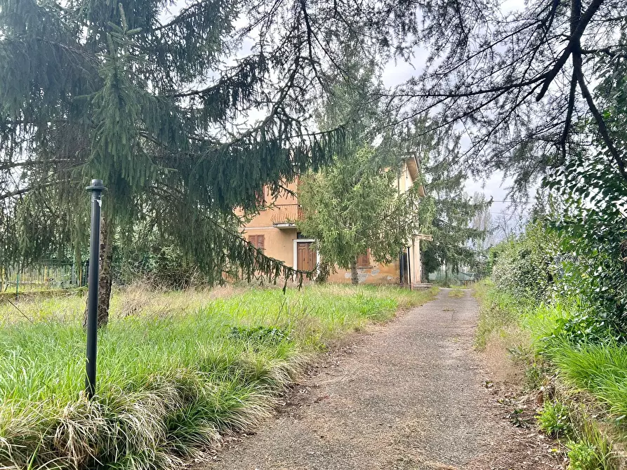 Immagine 6 di Casa bifamiliare in vendita  a Sarzana
