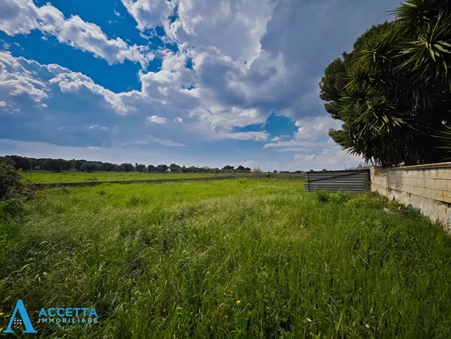 Immagine 13 di Terreno agricolo in vendita  in Via Rosmarini a Leporano