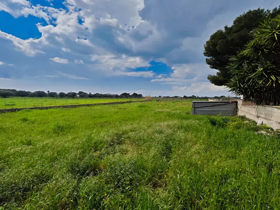 Immagine 3 di Terreno agricolo in vendita  in Via Rosmarini a Leporano
