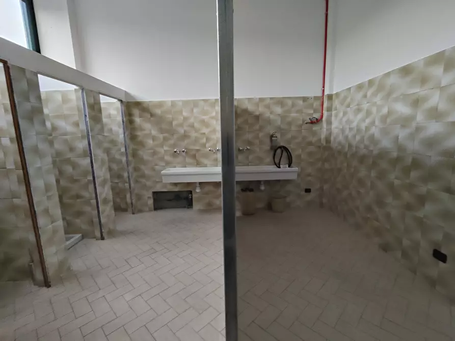 Immagine 12 di Attività artigianale in vendita  in via campo sportivo a Pianello Val Tidone