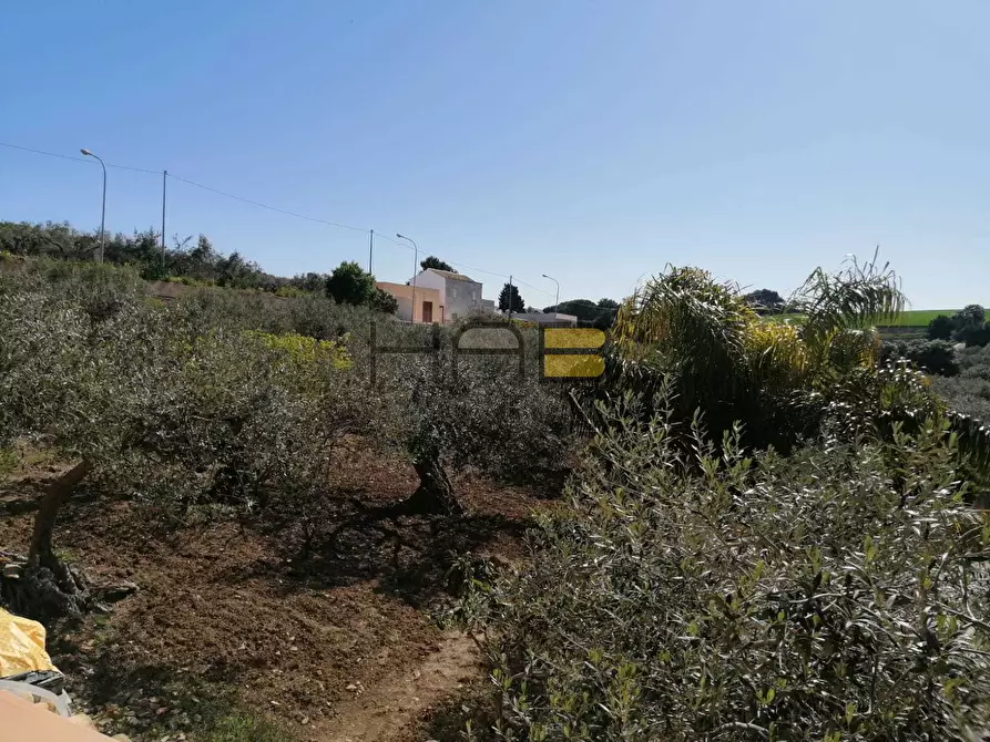 Immagine 16 di Casa indipendente in vendita  in Dattilo a Paceco