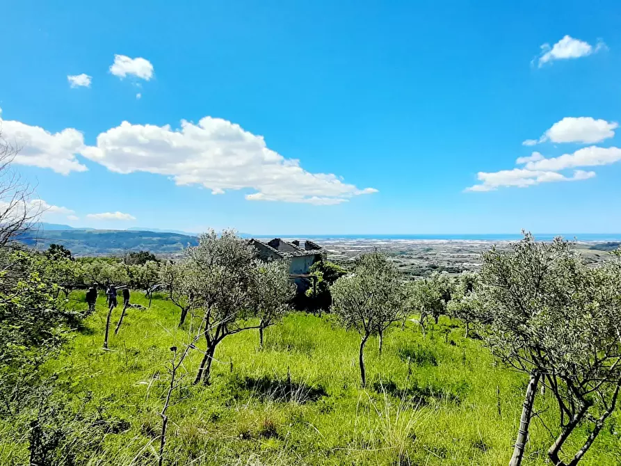Immagine 1 di Terreno agricolo in vendita  in via contrada maiano a Montecorvino Rovella