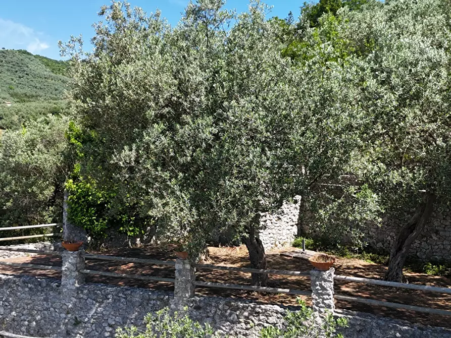 Immagine 7 di Terratetto in vendita  in via lecce 2 a Giffoni Valle Piana