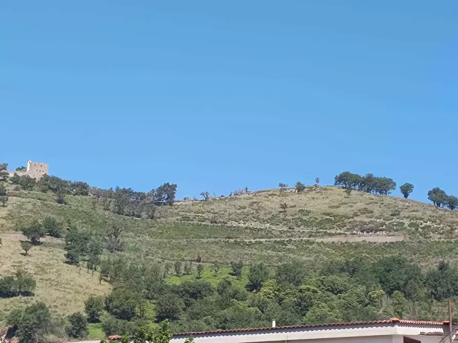 Immagine 6 di Terreno agricolo in vendita  in via torquato tasso a Castel San Giorgio