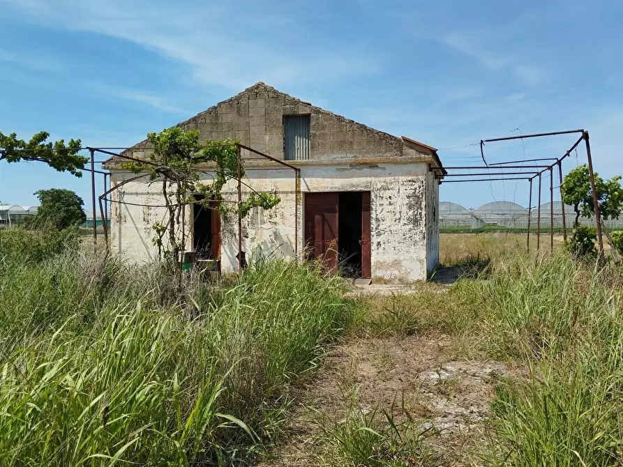 Immagine 21 di Terreno agricolo in vendita  in via bernardo tanucci a Eboli
