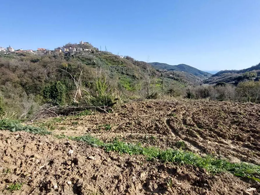 Immagine 6 di Terreno agricolo in vendita  in via casa vicinanza a Salerno
