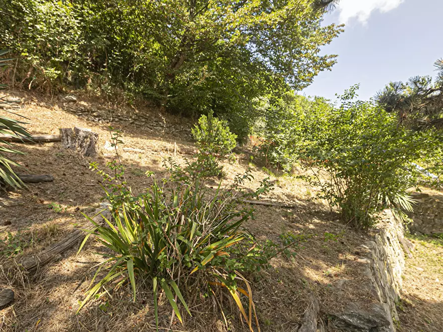 Immagine 69 di Villa in vendita  in Via privata Scanduè 23 a Serra Riccò