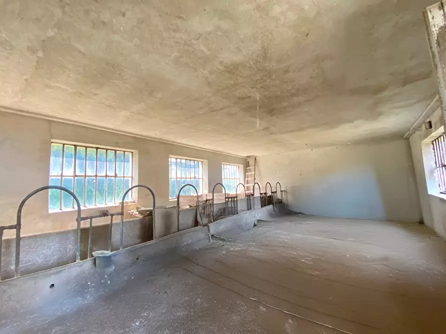 Immagine 6 di Rustico / casale in vendita  in Frazione Villa 8 a Serravalle Langhe