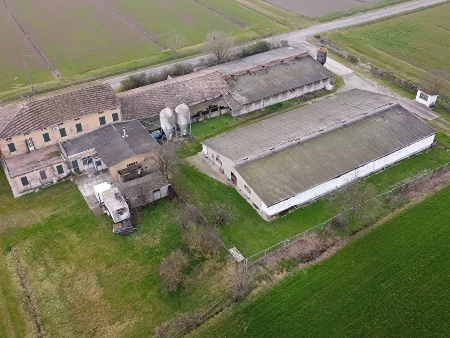 Immagine 4 di Azienda agricola in vendita  in Via al Serraglio 35 a Colorno