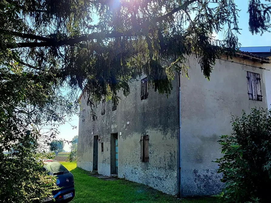 Immagine 12 di Terratetto in vendita  in Via Ponticella 2 a Sissa Trecasali