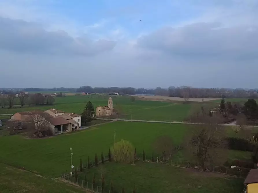 Immagine 6 di Terreno agricolo in vendita  a San Secondo Parmense