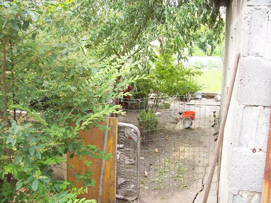 Immagine 21 di Casa indipendente in vendita  in Strada Paganina 12 a Roccabianca