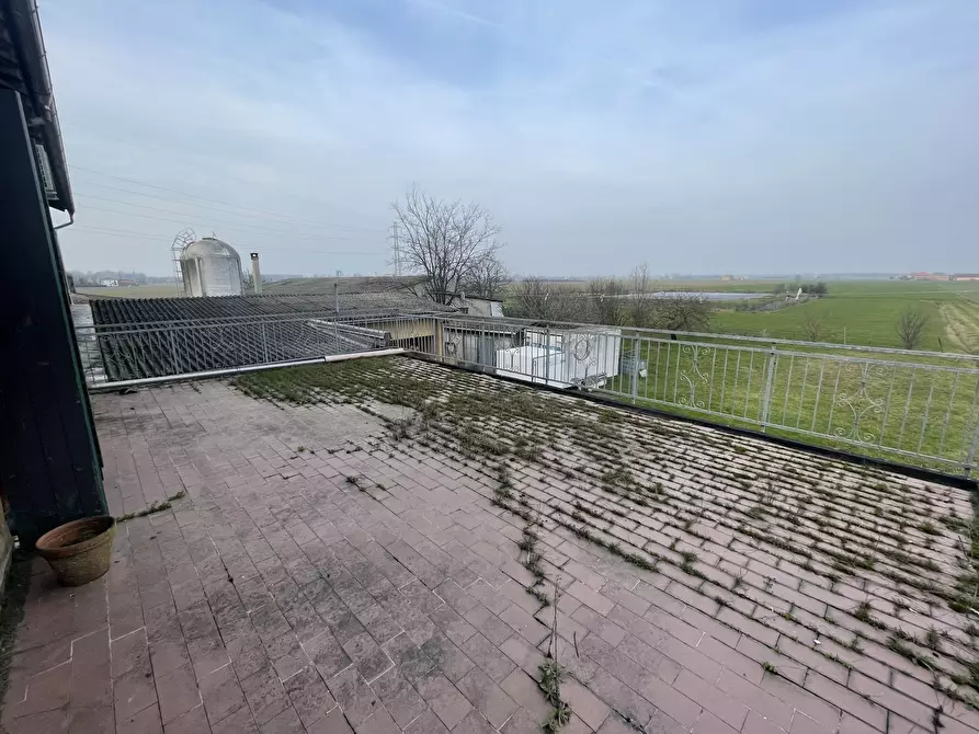 Immagine 18 di Azienda agricola in vendita  in Via al Serraglio 35 a Colorno