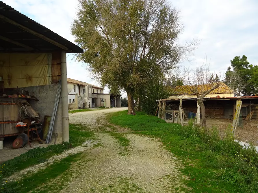 Immagine 21 di Rustico / casale in vendita  a Senigallia