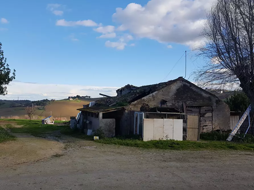 Immagine 6 di Rustico / casale in vendita  a Senigallia
