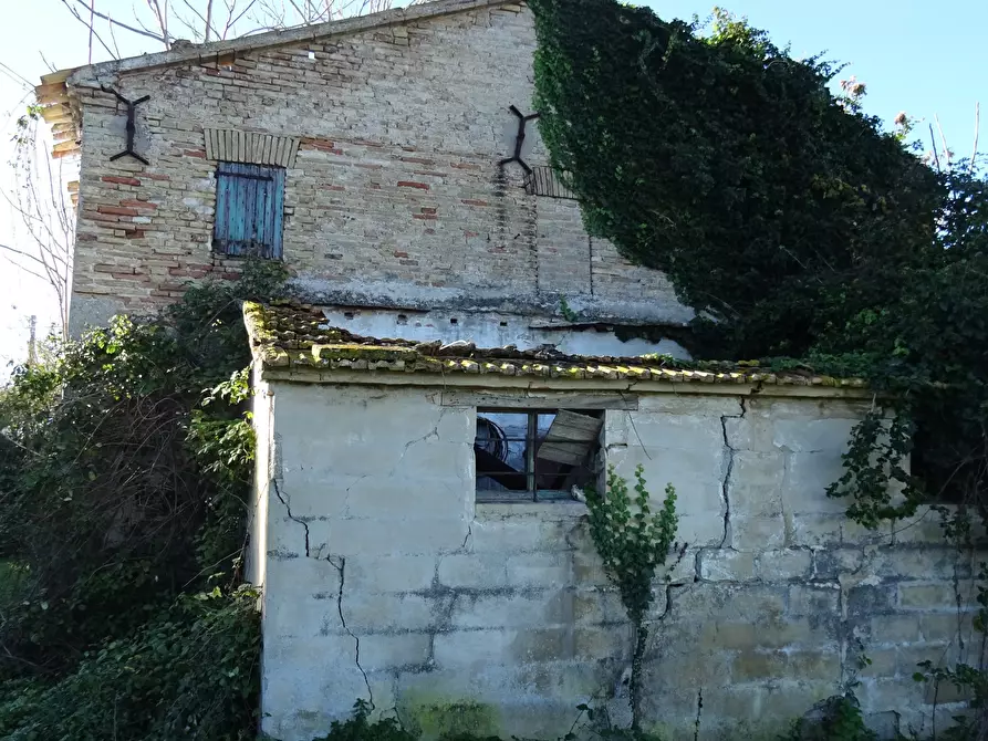 Immagine 9 di Rustico / casale in vendita  a Senigallia