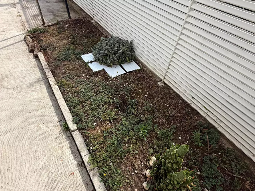 Immagine 4 di Quadrilocale in vendita  in Via XXV Aprile a Senigallia