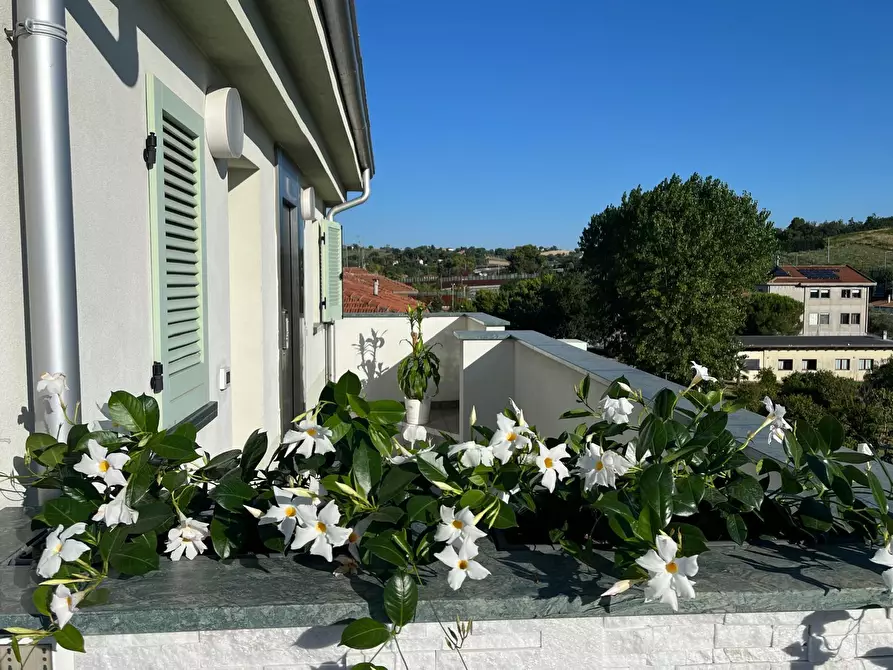 Immagine 6 di Attico in vendita  a Senigallia