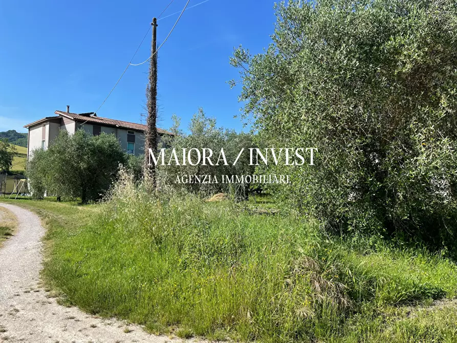 Immagine 9 di Casa indipendente in vendita  in contrada Moglie a Montalto Delle Marche