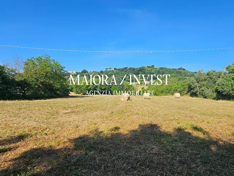 Immagine 7 di Terreno agricolo in vendita  in Contrada Pianelle a Monsampolo Del Tronto