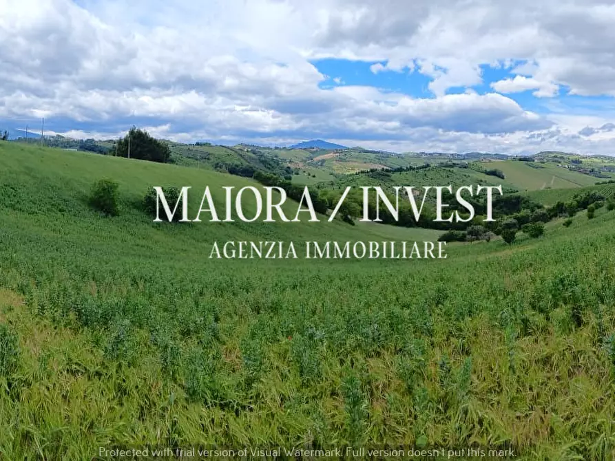 Immagine 21 di Rustico / casale in vendita  a Acquaviva Picena