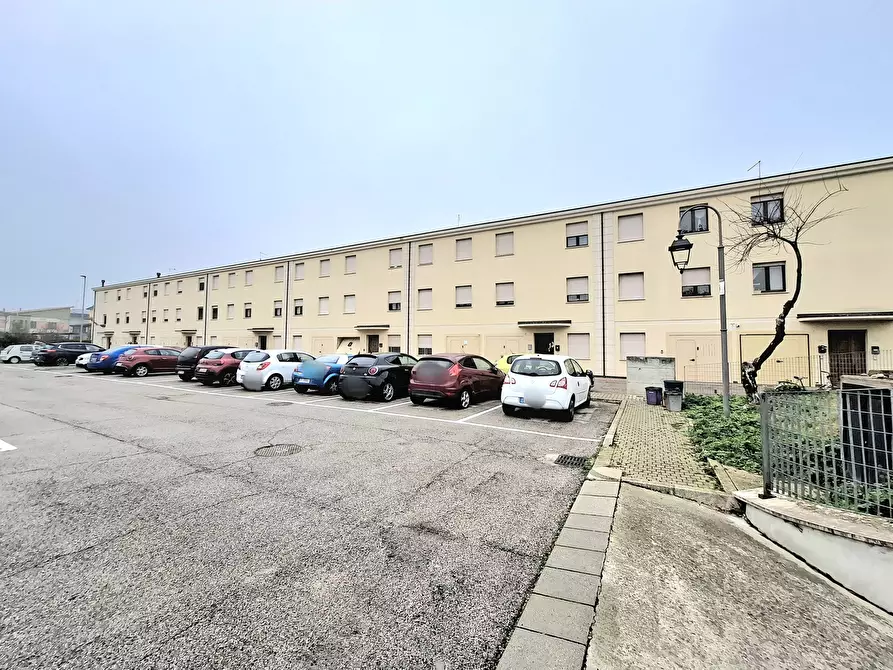 Immagine 15 di Quadrilocale in vendita  in Via A. Gramsci 72 a Stanghella