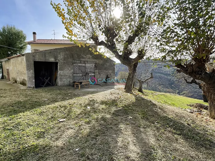 Immagine 36 di Trilocale in vendita  a Pineto