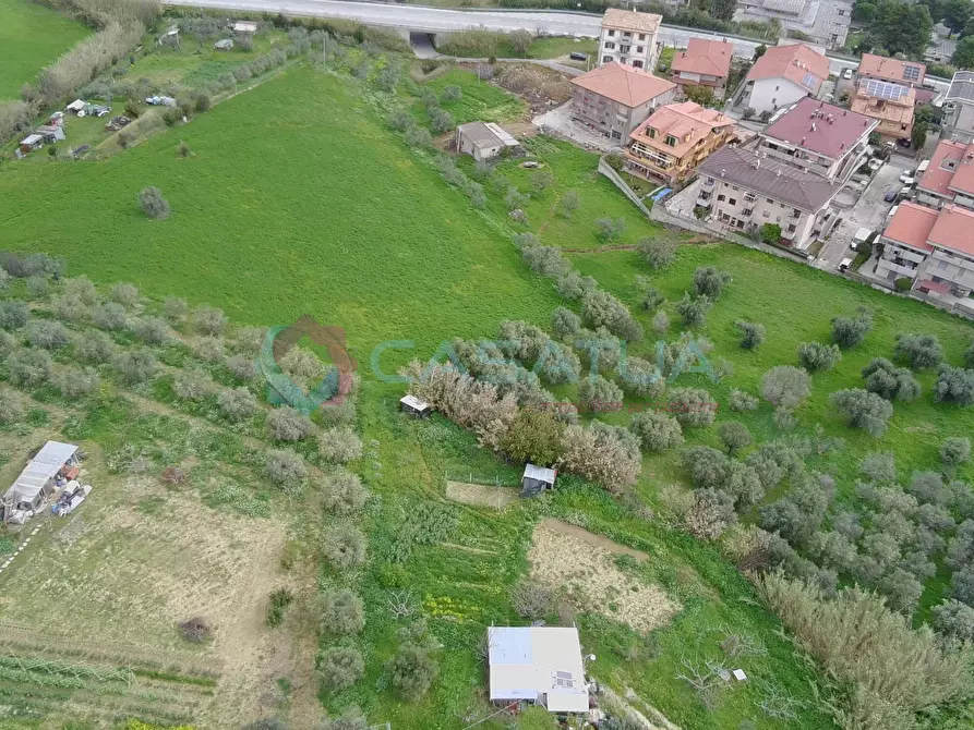 Immagine 3 di Terreno agricolo in vendita  in Contrada Santo Stefano 80 a Silvi