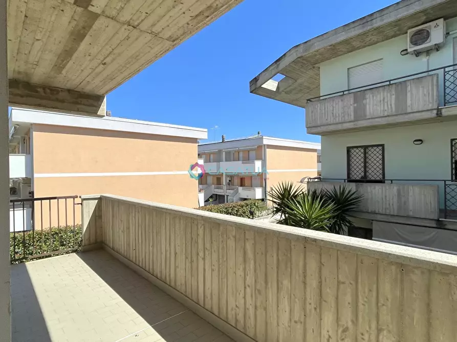 Immagine 19 di Quadrilocale in vendita  a Silvi