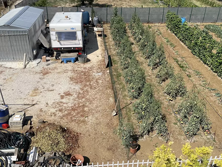 Immagine 21 di Terreno industriale in vendita  a Città Sant'angelo