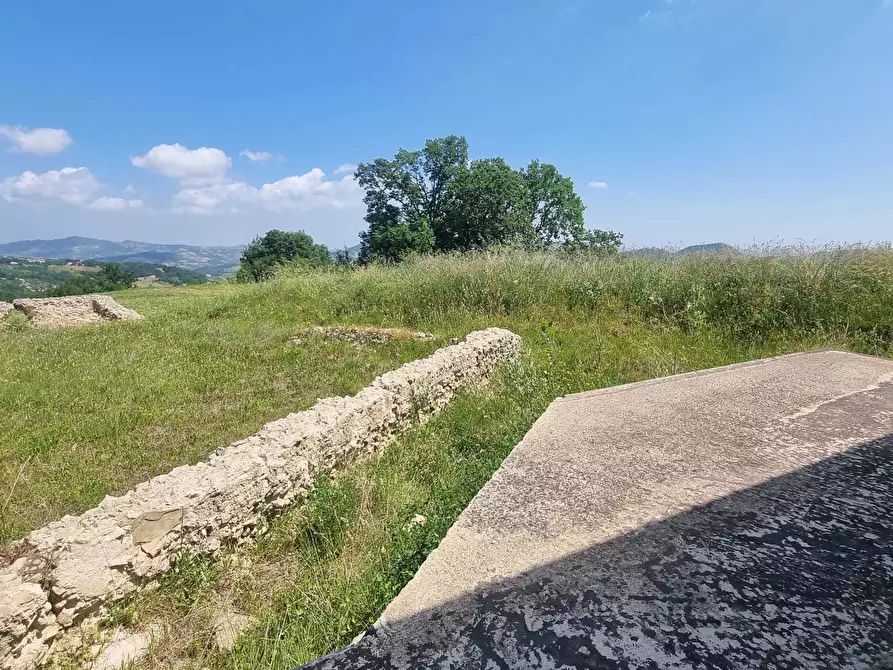 Immagine 29 di Terreno agricolo in vendita  a Farindola