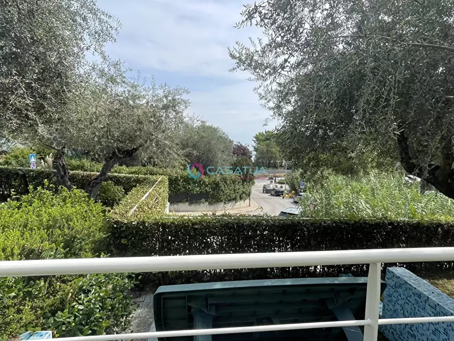 Immagine 31 di Trilocale in vendita  a Pineto