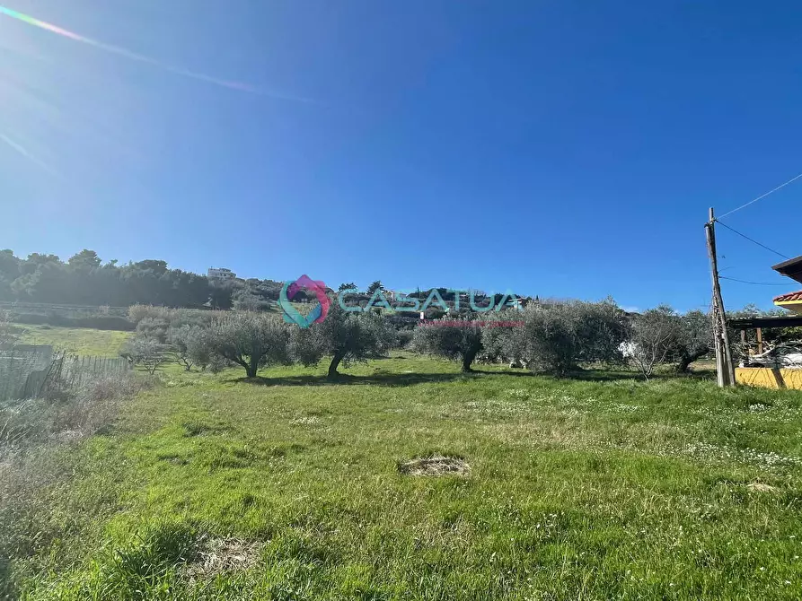 Immagine 21 di Terreno agricolo in vendita  a Silvi