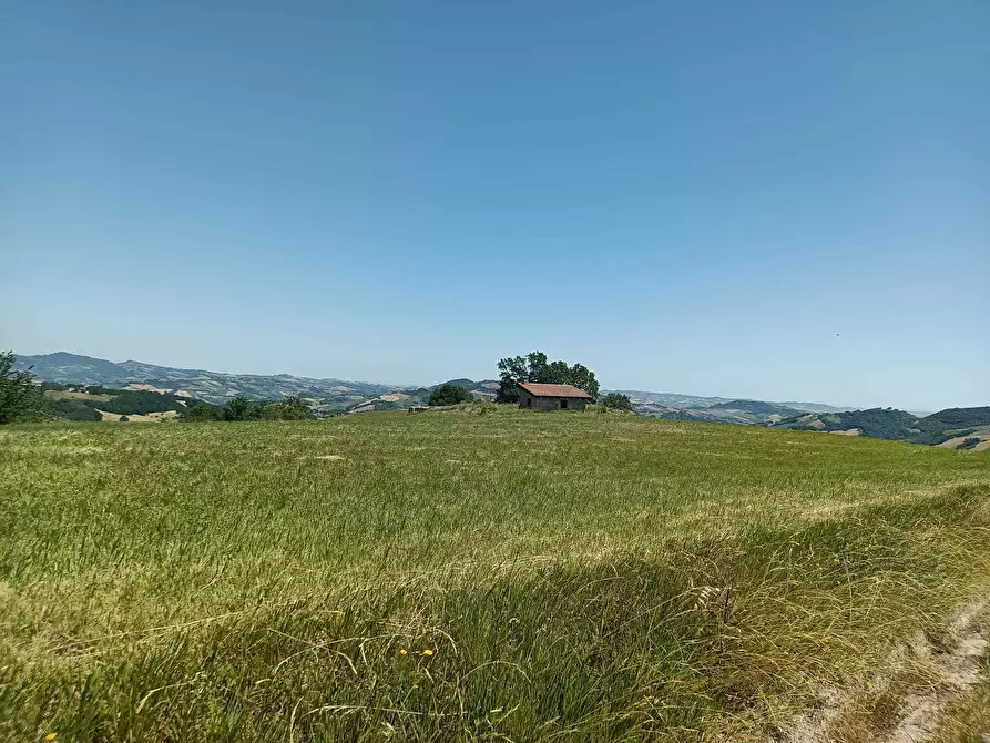 Immagine 22 di Terreno agricolo in vendita  a Farindola